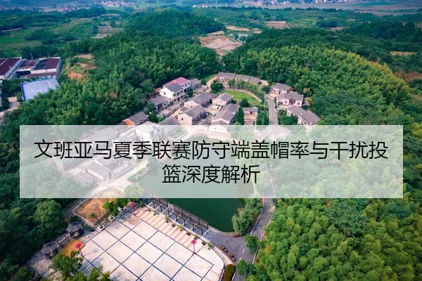 文班亚马夏季联赛防守端盖帽率与干扰投篮深度解析