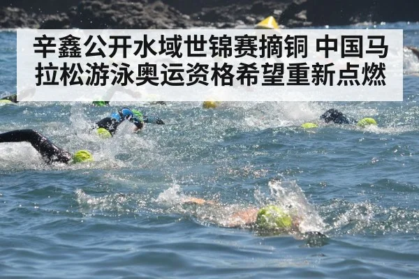 辛鑫公开水域世锦赛摘铜 中国马拉松游泳奥运资格希望重新点燃