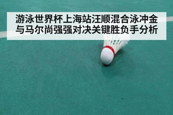 游泳世界杯上海站汪顺混合泳冲金与马尔尚强强对决关键胜负手分析
